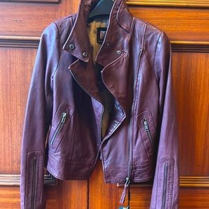 Mackage for Aritzia Kenya Burgundy Leather Jacket NWT!